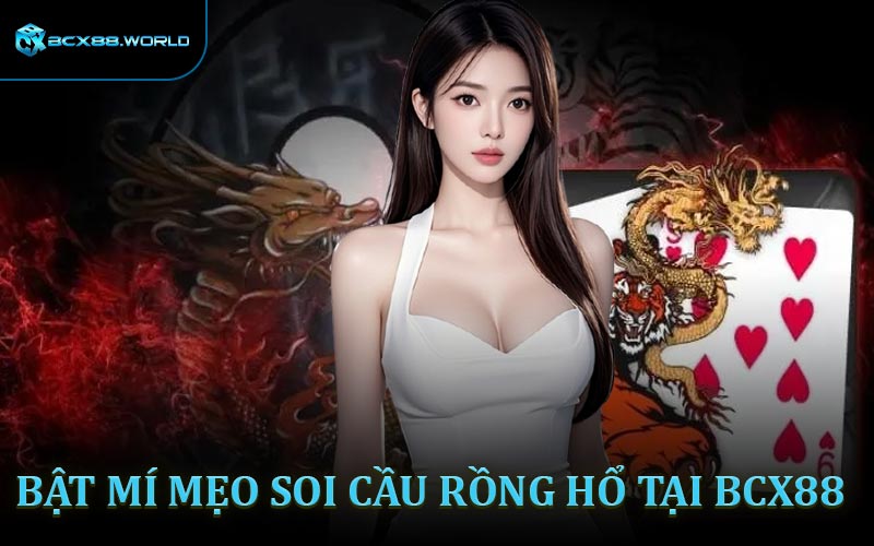 Bật mí mẹo soi cầu Rồng Hổ hiệu quả và an toàn