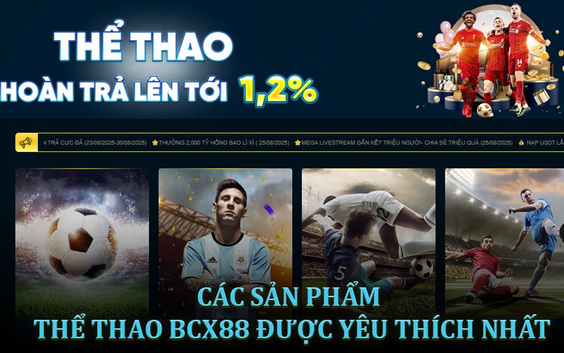 Các sản phẩm thể thao BCX88 được yêu thích nhất