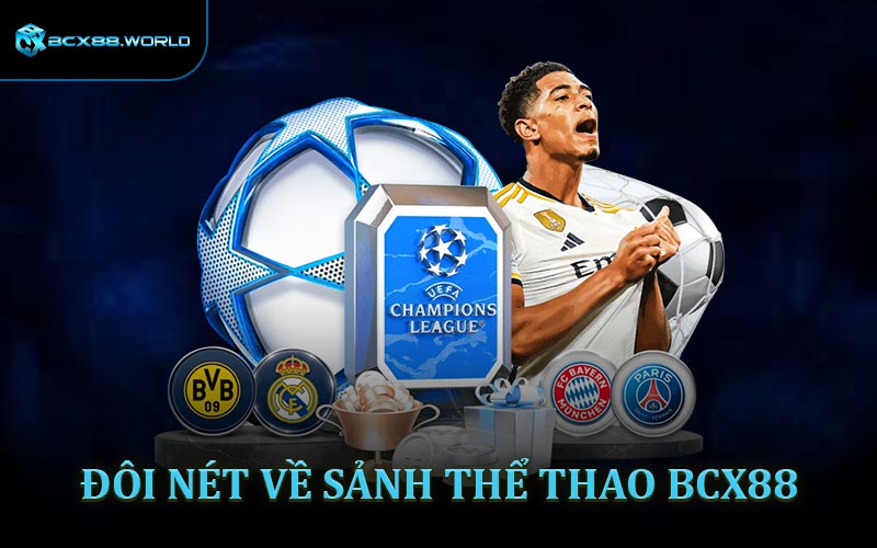 Đôi nét về sảnh thể thao BCX88