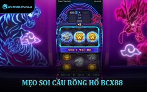 Mẹo Soi Cầu Rồng Hổ - Chiến Thuật Cược Hiệu Quả Giúp Thắng Lớn