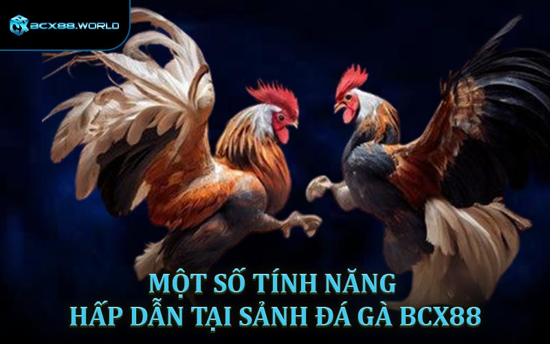 Tính năng hấp dẫn khi chơi đá gà BCX88